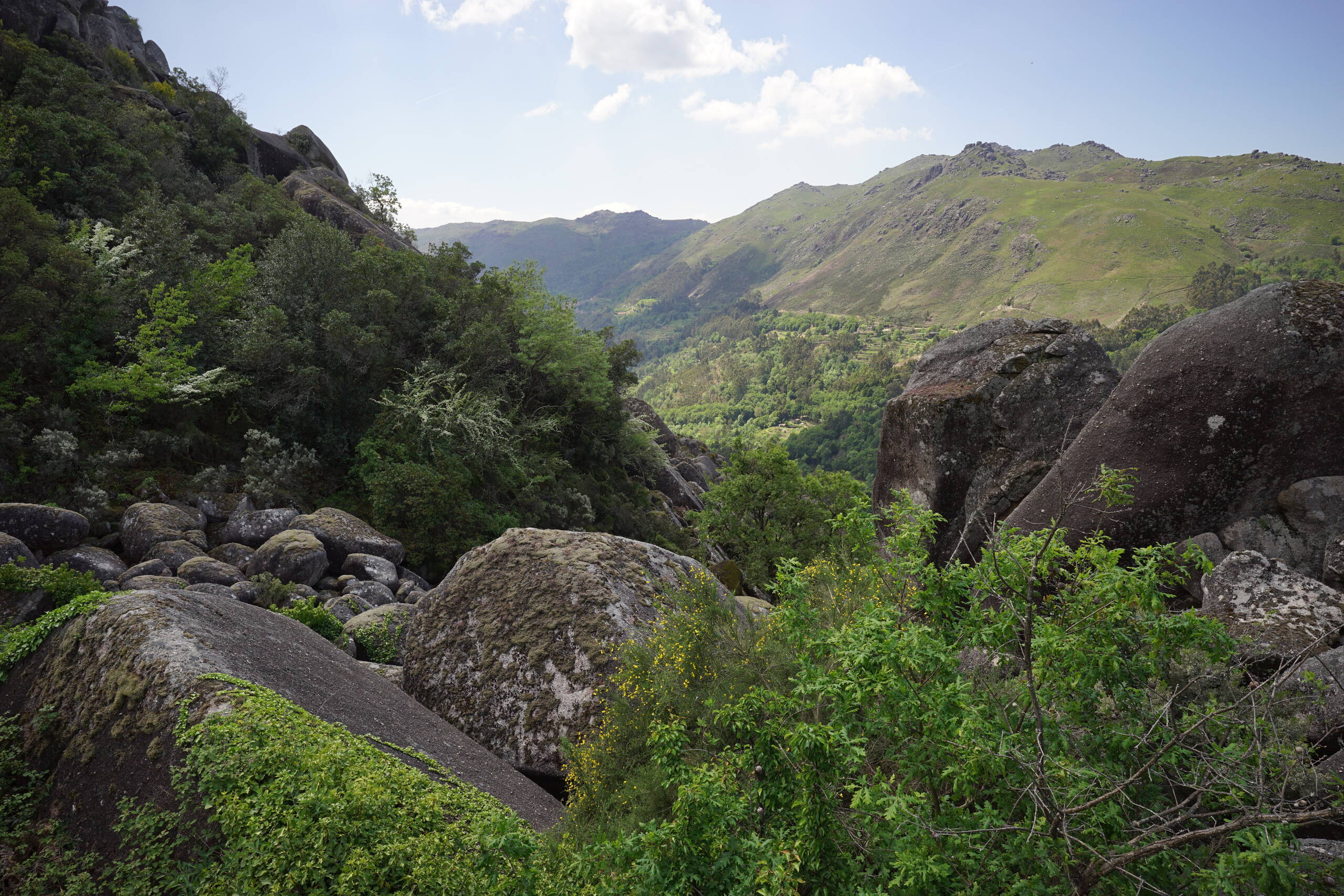 An image of green mountains.